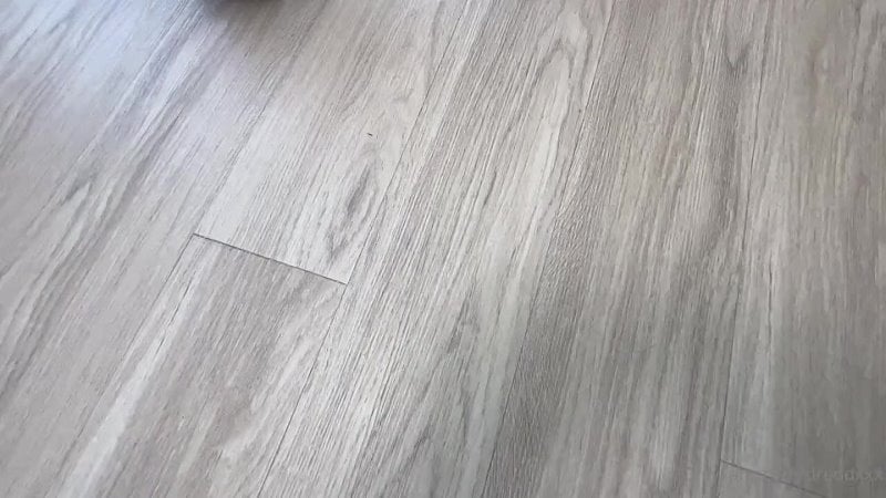 Lasirena69 connie perignon et dredd mp4