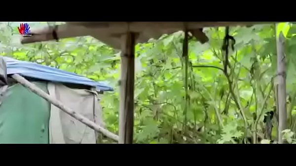 H.o.t.M.i.s.t.a.k.e.3.B.o.l.d.H.i.n.di.