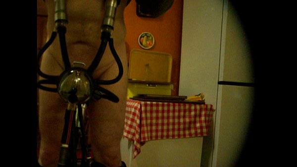 Mungitrice modificata 1