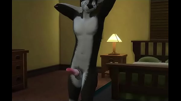 Kusaka and Zubaki - Honey Night