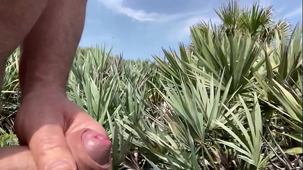 Clitlicker662 – Update Nr. 40 – IMG 1437 – 30. Juni 2025