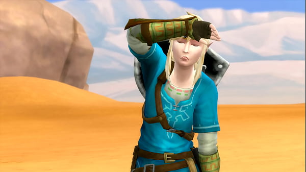 Legend Of Zelda 2 – Link geht in der Wüste verloren