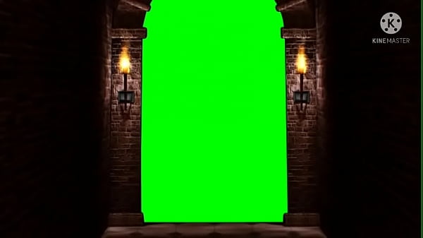 Vidéo de vérification