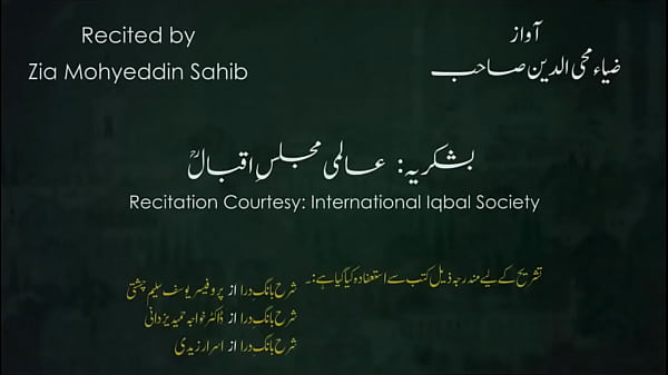 Bang-of-the-Virgin | Tulu And Islam/ RISE OF ISLAM