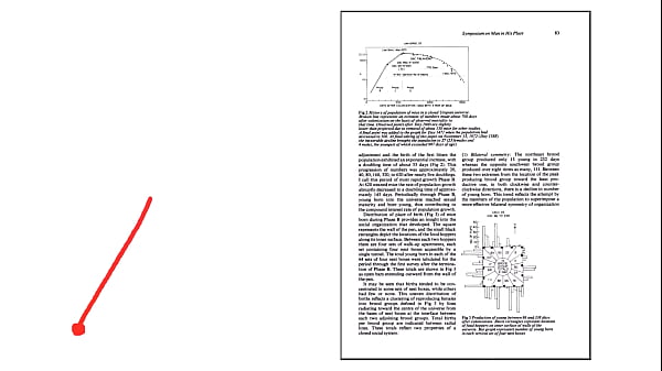 Universo 25 el experimento de la vida perfecta