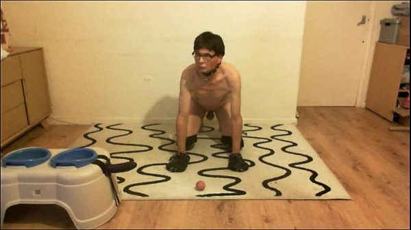 puppy tigger'_s training session with SirGuyM part 1